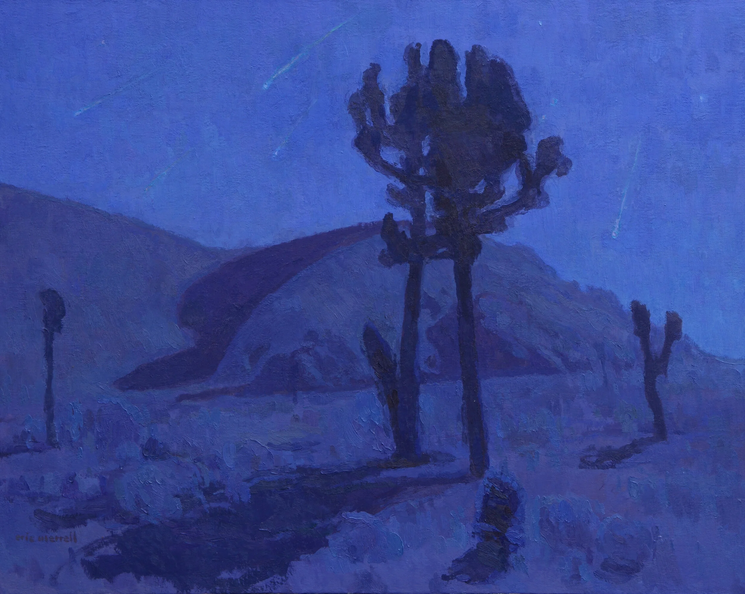 Starry Nights: Visions of the Night Sky — California Nature Art Museum